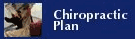 Chiropractic Plan